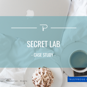 TrustPro - Secret Lab - Case Study - Business Strategy