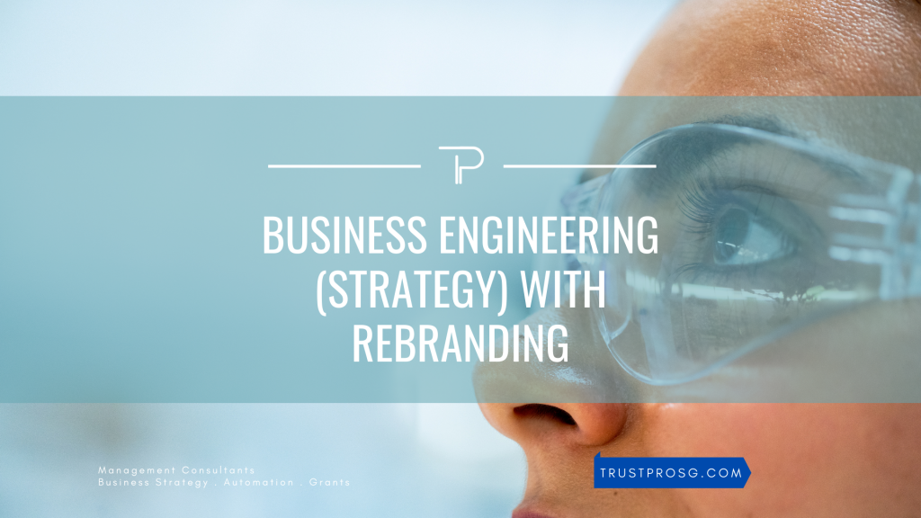 TrustPro Business strategy with branding 1024x576 - TrustPro : Business strategy with branding services
