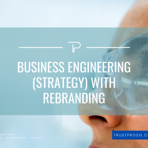 TrustPro Business strategy with branding 300x300 - TrustPro : Business strategy with branding services