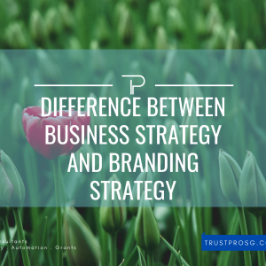 Difference between business strategy and branding strategy.png