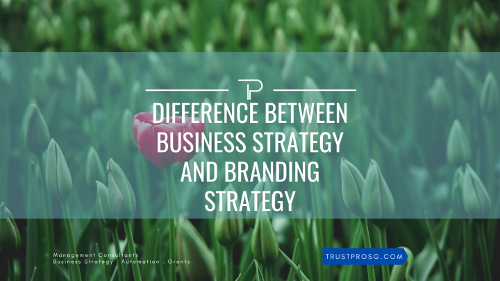 Difference between business strategy and branding strategy.png R1 720x405 - TrustPro Pte Ltd